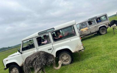 Pradinukų nuotykiai Safari parke