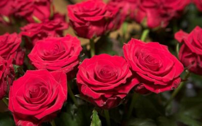 Šimtadienio šventė