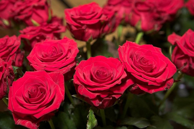 Šimtadienio šventė